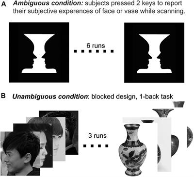 Category Selectivity of Human Visual Cortex in Perception of Rubin Face–Vase Illusion